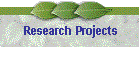 Research Projects