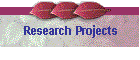 Research Projects